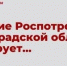 4482 - Чернышковский район