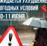 IMG 20250610 165557 756 - Чернышковский район